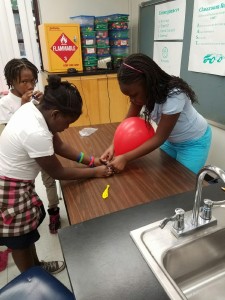 Broward Estates-STEM14